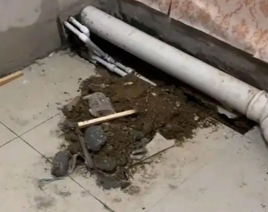 呼玛卫生间漏水检测哪家好