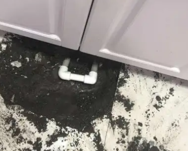 呼玛查漏水哪家好
